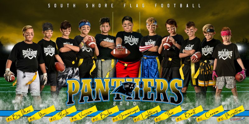 PANTHERS_BANNER_PROOF